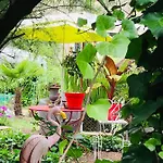 La Maison Des Roses לינה וארוחת בוקר *