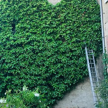 Nocleg ze śniadaniem La Maison Des Roses